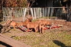 Klicken, um das Bild zu vergr��ern
